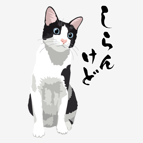 関西弁のハチワレ猫「しらんけど」