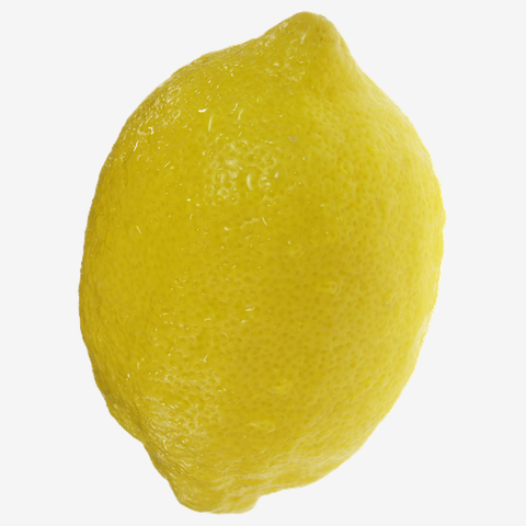 レモン-縦- 片面プリント レディースTシャツを購入|デザインTシャツ