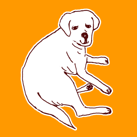 ラブラドールデザイン