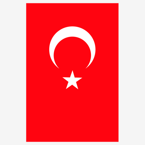 トルコ国旗--Turkey-- 縦ロゴ Tシャツを購入|デザインTシャツ