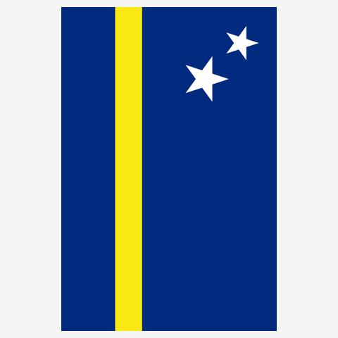 キュラソー島-Flag of Curacao- 国旗 縦ロゴ 長袖Tシャツ(デイジー