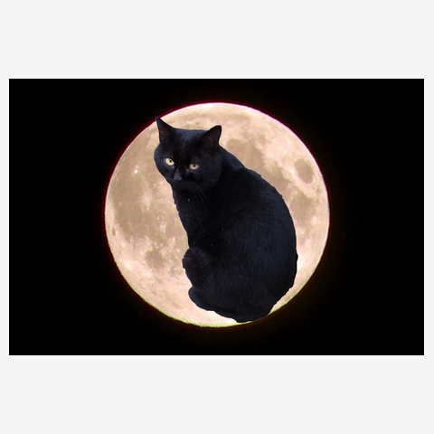 Moon Cat Tシャツ・トレーナー・パーカー・トートバッグ・スマホケース