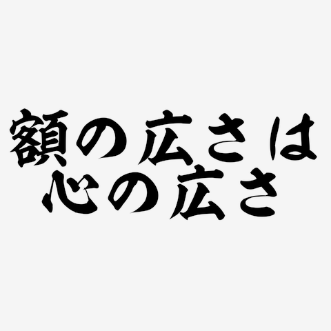 額の広さは心の広さ」横書きの全アイテム|デザインTシャツ通販