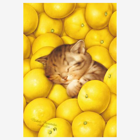 村松誠 ビッグコミックオリジナル2023年2月5日号「みかんと猫」