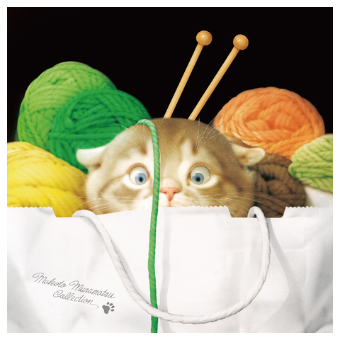 村松誠 ビッグコミックオリジナル2023年12月20日号「毛糸と子猫」