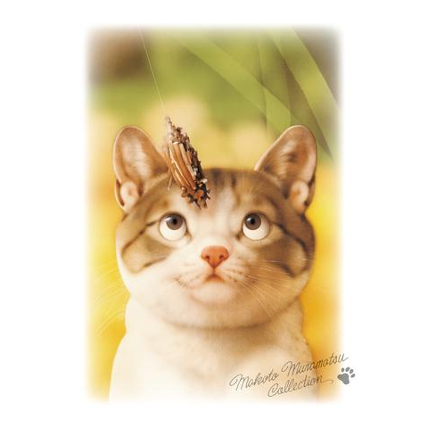 村松誠 犬猫イラストグッズコレクション | デザイン一覧