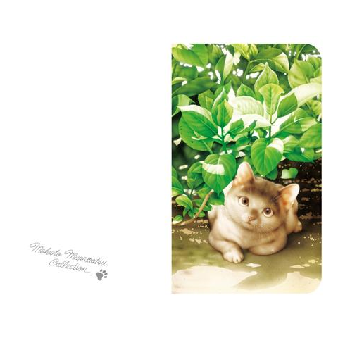 村松誠 ビッグコミックオリジナル2025年6月5日号「草陰と猫」