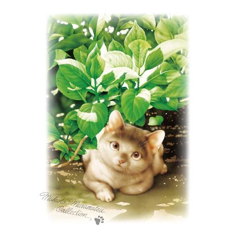 村松誠 ビッグコミックオリジナル2025年6月5日号「草陰と猫」