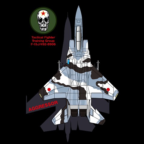 航空自衛隊　飛行教導群　F-15J　906号機