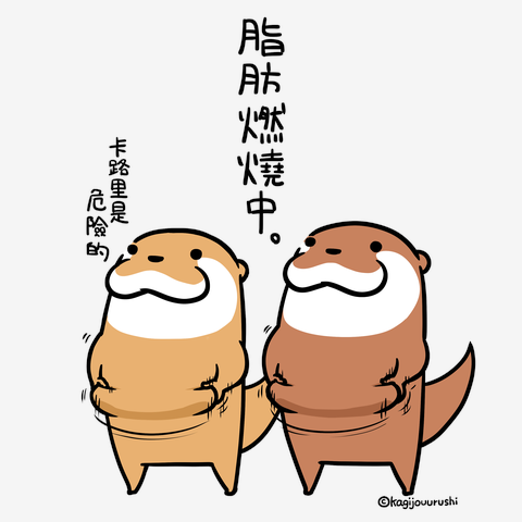 脂肪燃燒中！手提袋 