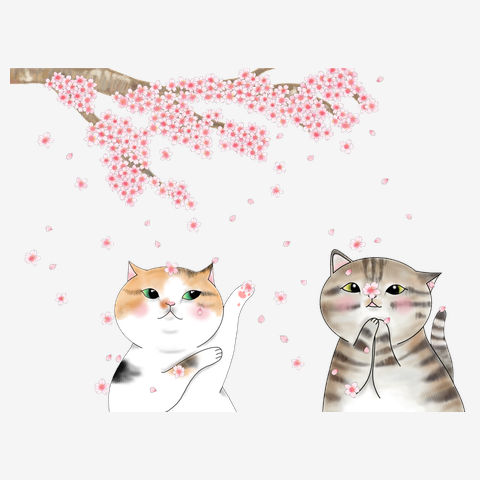 ネコと桜