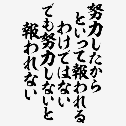 努力したからといって報われるわけではない でも努力しないと報われ  