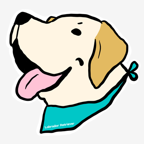 イエローラブラドール