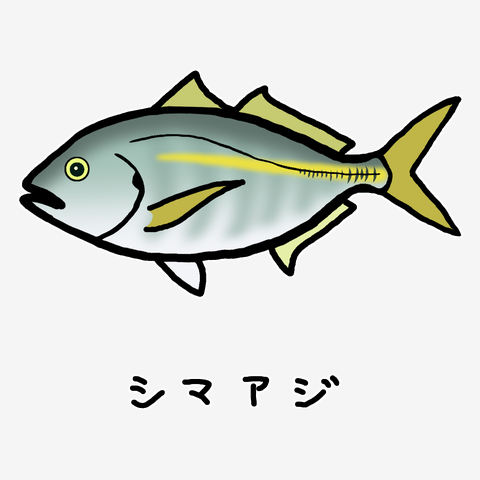 シマアジ