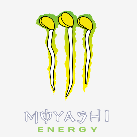 もやしエナジー