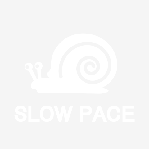 スローペース　カタツムリ