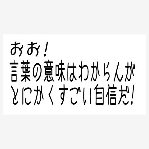 おお!言葉の意味はわからんがとにかくすごい自信だ! Tシャツを購入