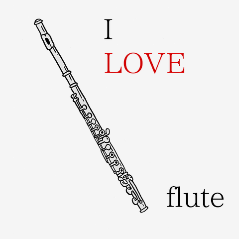 楽器/音楽LOVEシリーズ　フルートflute