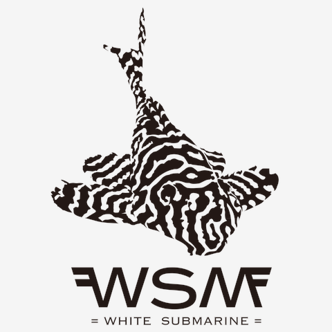 WSM -L333- プレコ 熱帯魚