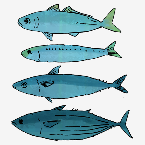 青色の魚イラストTシャツ 青魚 Tシャツを購入|デザインTシャツ通販【ClubT】