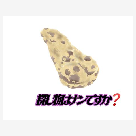 探し物はナンですか？