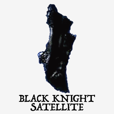 BLACK KNIGHT SATELLITE【黒騎士衛星】 ドッグウェア(オレンジ)を購入 ...