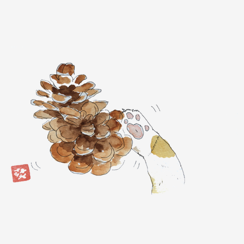 ねこさんのおてて