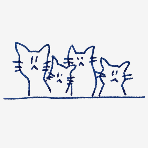 ４cats