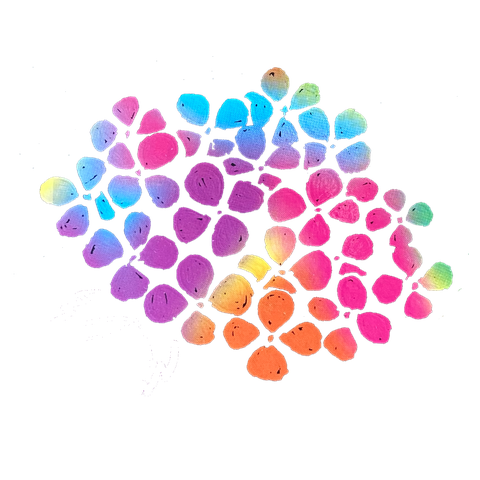 レインボーアジサイ