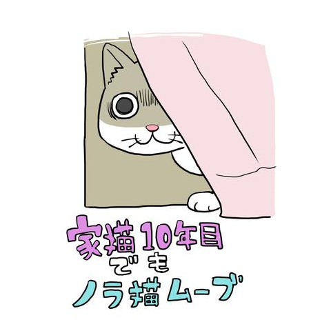家猫10年目