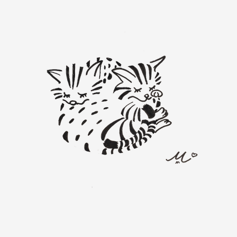 キュートでギュッと【Miジンコ】