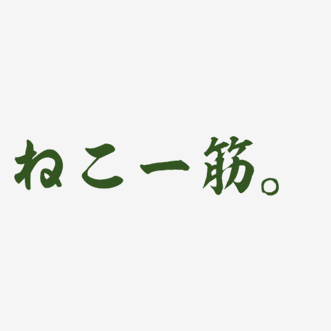 ねこ一筋。