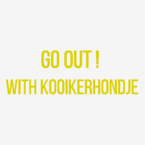 GO OUT! with Kooikerhondje