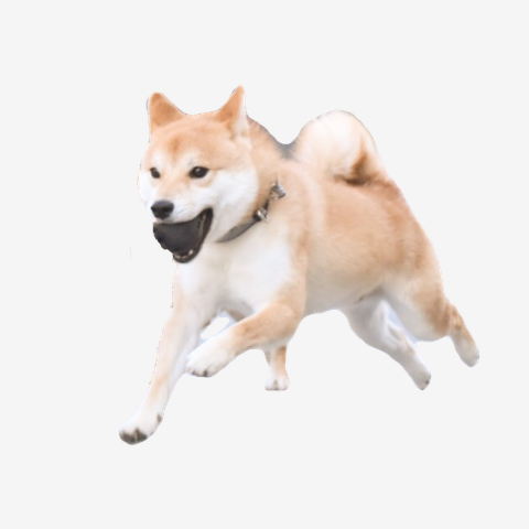 柴×柴 Tシャツを購入|デザインTシャツ通販【ClubT】