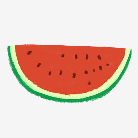 WATERMELONISM / Brick Tee ウォーターメロン スイカ価格
