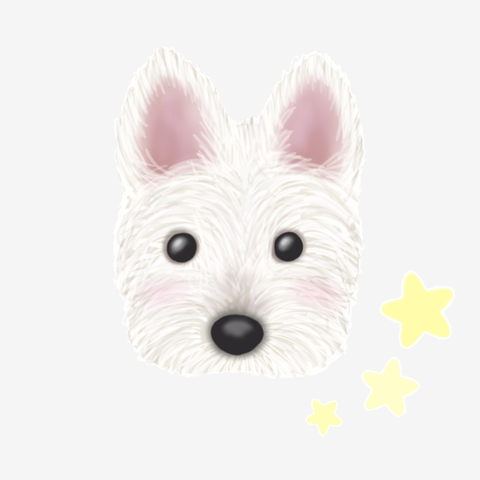 ウチの子 ウェスティ