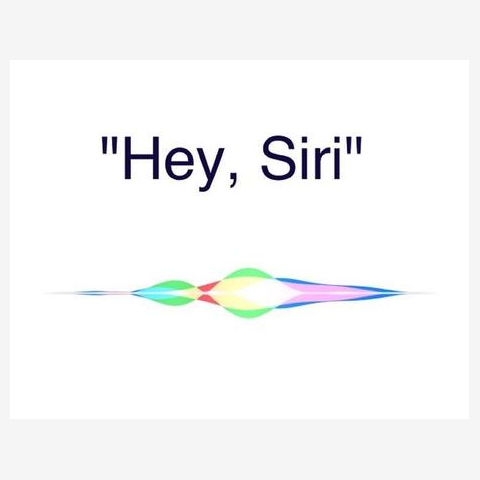 HEY Siri ゾルタクスゼイアン1 Tシャツを購入|デザインTシャツ通販
