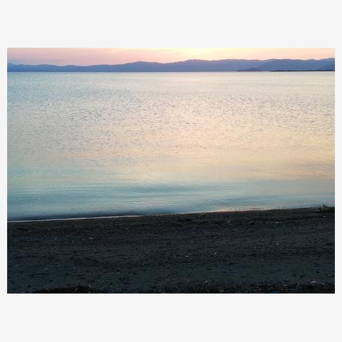 海岸にて