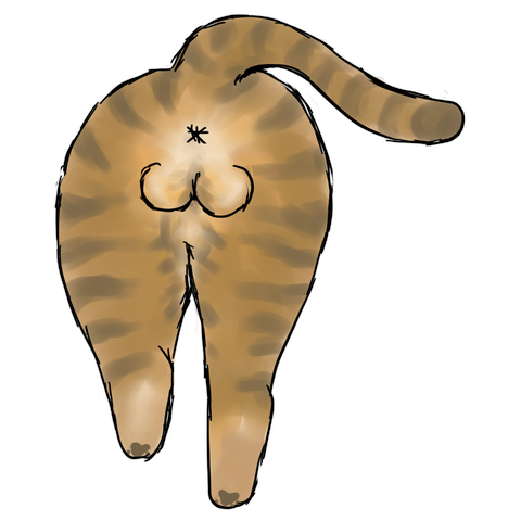 にゃんこのおちり