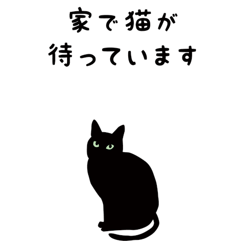家で猫が待っています