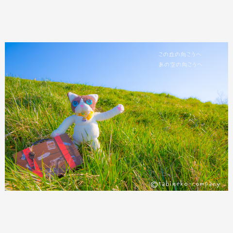 たびねこカンパニーへようこそ！２