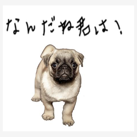 翌日発送　在庫限り　半袖Tシャツ　パグ　PUG　ビールジョッキとパグ　グレーM　ユニセックス　男女共用　society6　（ぱぐ グッズ） Amazon.co.jp: 日本製 半袖Tシャツ 「PUG 2」（パグ2）ユニ