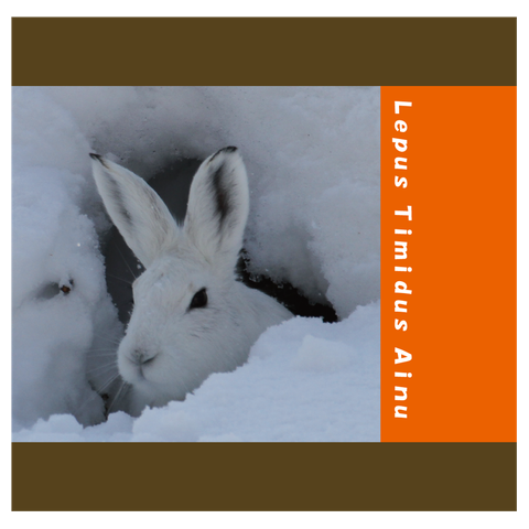 【心とカラダの栄養に】サロベツのエゾユキウサギ