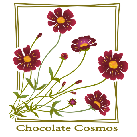 Chocolate Cosmos