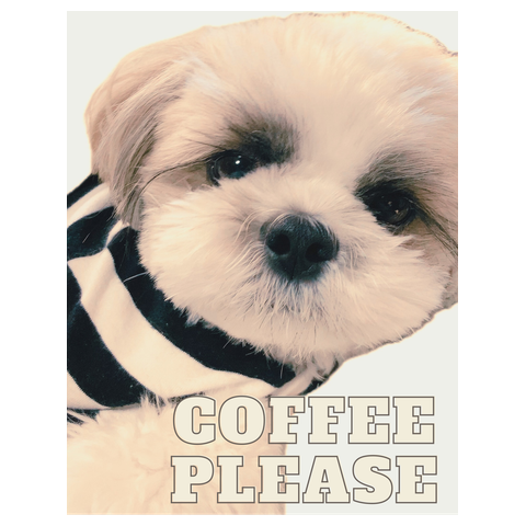 シーズー　coffee please