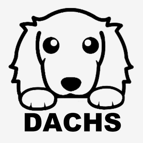 DOG柄ワンポイントTシャツ&ロングパンツ　ダックス ダックスフンド 動物・生き物 Tシャツ : うえきたや - 通販