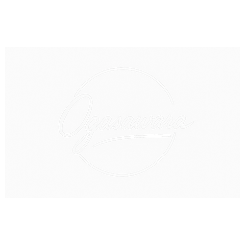 オガサワラヤモリブルー円