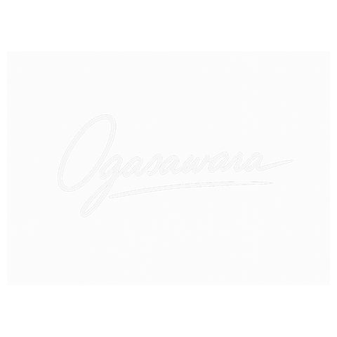 オガサワラヤモリブルーサイン